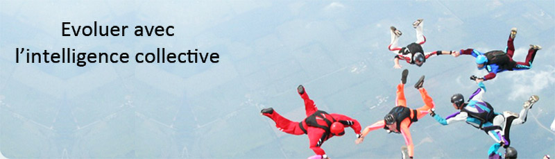 intelligence collective